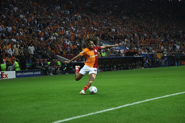 他们多年训 他们多年训