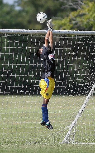 乐部接下来 乐部接下来