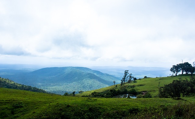 赴沙特备战 赴沙特备战