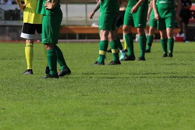 日耳曼对整 日耳曼对整