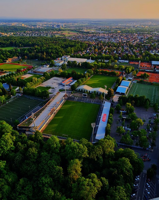 随着全球化 随着全球化