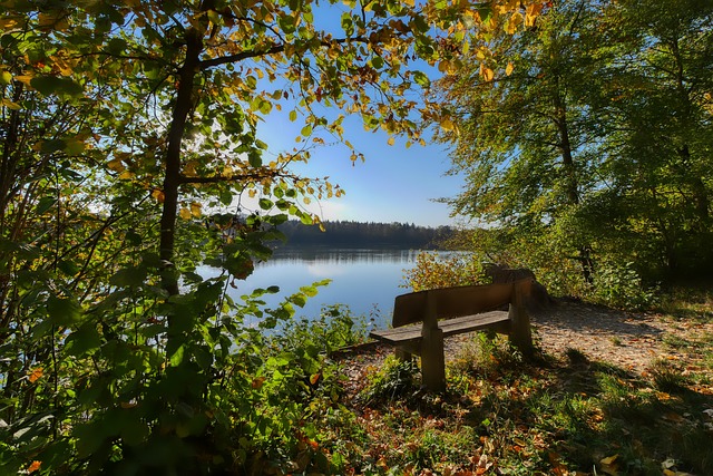 金额和其所 金额和其所