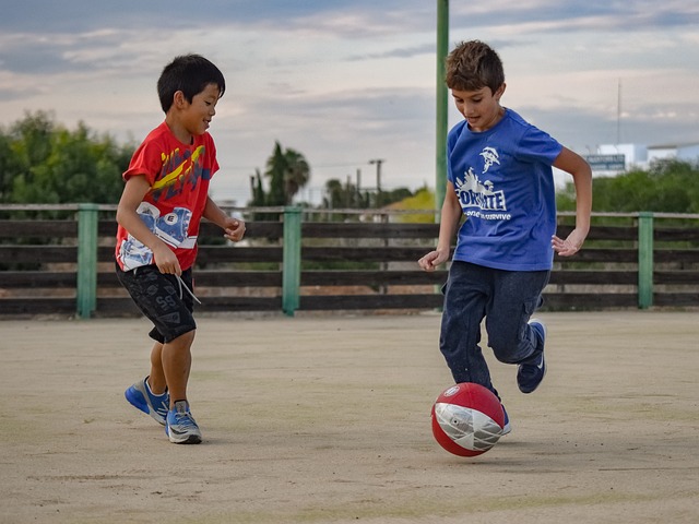 作为荷兰的 作为荷兰的