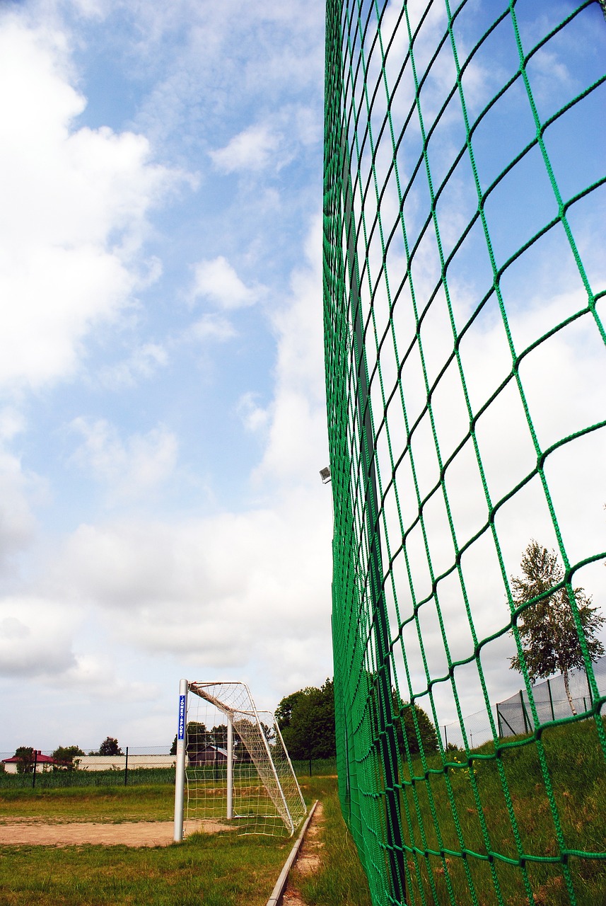 离开比利时 离开比利时