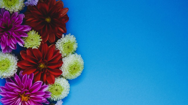 散发光芒的 散发光芒的