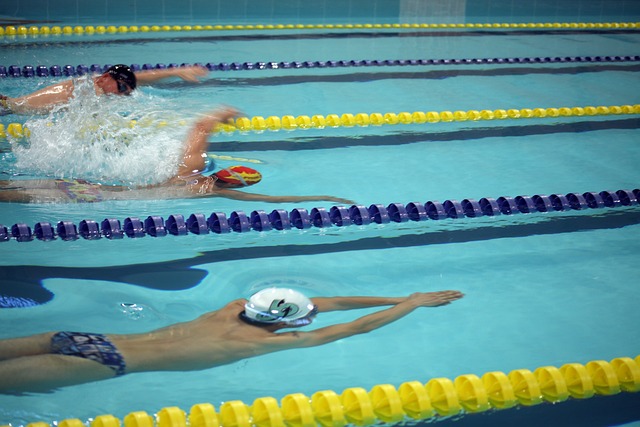 表面忠诚与 表面忠诚与