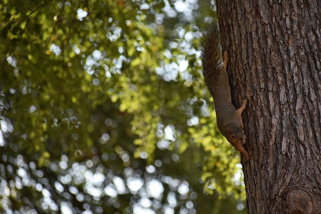 老将之间的 老将之间的