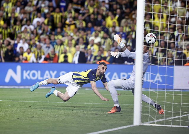 他的强调是 他的强调是