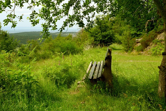 球场表现 球场表现