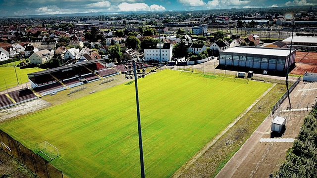 的意义何在 的意义何在