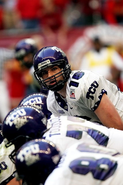 他们的疯狂 他们的疯狂